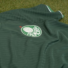 CAMISETA MASCULINA PALMEIRAS STORM