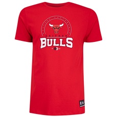 Camiseta Chicago Bulls NBA Circles Bulls N0915 Masculina