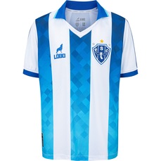 Imagem do produto Camisa Paysandu I 26/27 Torcedor Betel Infantil na posição 27 de 2
