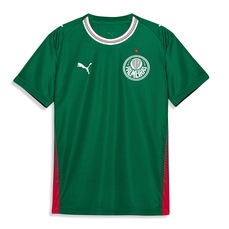Imagem do produto Camisa do Palmeiras I 26/27 Torcedor Puma Infantil na posição 23 de 2