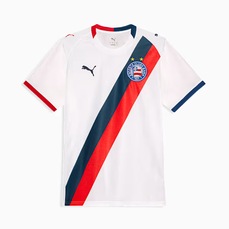 Imagem do produto Camisa do Bahia I 26/27 Puma Torcedor Masculina na posição 16 de 5