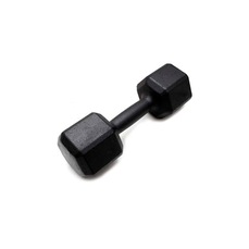 Dumbbell Sextavado Iniciativa Fitness Pintado - 12Kg - Unidade