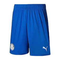 Calção de Goleiro do Palmeiras I 2023 Puma - Masculino-0