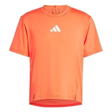 Camiseta adidas Adapt Workout - Masculina