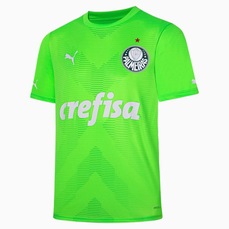 Camisa de Goleiro do Palmeiras Jogador Away Jersey Puma - Masculina