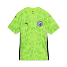 Camisa do Bahia 2025 Uniforme 2 Goleiro Puma Masculino