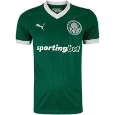 Camisa do Palmeiras Home 2025 Torcedor Puma Masculina