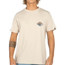 Camiseta Masculina Quiksilver Future Island WT25