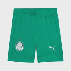 Calção Puma Palmeiras Training Masculino