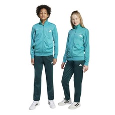 Agasalho adidas Seasonals TR Infantil