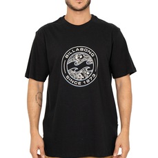 Camiseta Masculina Billabong Hollow SM26