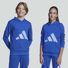 Blusão adidas Essentials Big Logo Com Capuz Infantil