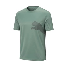 Camisa Puma Tad Big Logo Tee - Masculino