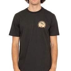 Camiseta Quiksilver Island SM26 Masculina