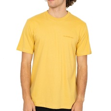 Camiseta Quiksilver Salt Water SM26 Masculina