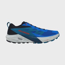 Tênis Salomon Sense Ride 5 Masculino