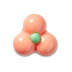 Jibbitz Crocs Floral Expressiva