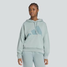 Imagem do produto Moletom adidas Big Logo com Capuz Feminino na posição 32 de 5