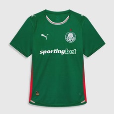 Imagem do produto Camisa do Palmeiras I 26/27 Jogador PUMA Masculina na posição 22 de 2