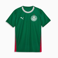 Imagem do produto Camisa do Palmeiras I 26/27 Puma Torcedor Infantil na posição 18 de 3