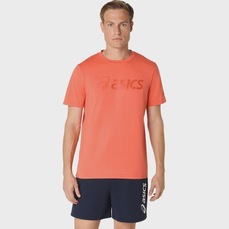 Imagem do produto Camiseta ASICS Graphic Masculino na posição 11 de 5