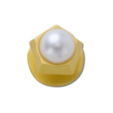 Imagem do produto Jibbitz Crocs Pérola Pentágono na posição 19 de 3