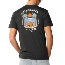 Imagem do produto Camiseta Rip Curl Desti Animals Masculino na posição 1 de 5
