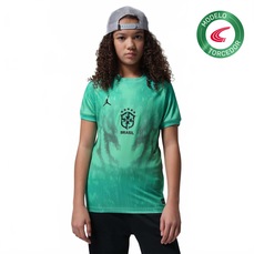 Imagem do produto Camisa de Goleiro Brasil II 26/27 Torcedor Pro Jordan Infantil na posição 22 de 5