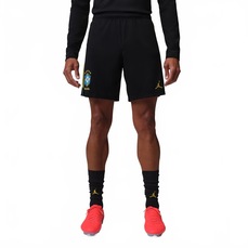 Imagem do produto Shorts do Brasil Academy Pro 26/27 Treino Jordan Masculino na posição 3 de 5