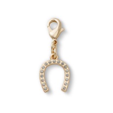 Imagem do produto Jibbitz™ Crocs Pingente de Ferradura na posição 19 de 2