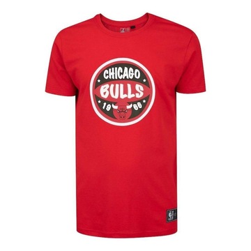 Camiseta NBA Chicago Bulls Ball Logo Estampada - Masculina