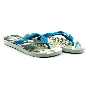 Chinelo Havaianas Ipe Feminino 4000396