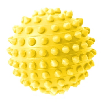 Bola Gold Sports Exercitadora Fisioterapia - 10cm