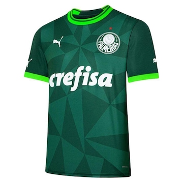 Camisa do Palmeiras 2023 Torcedor Home Puma - Masculina