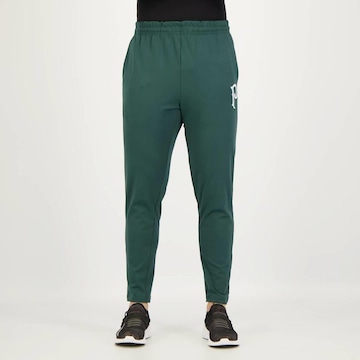 Calça do Palmeiras Futfanatics Slim Esportiva Classica - Masculina