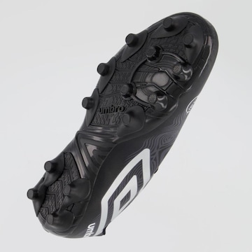 CHUTEIRA CAMPO UMBRO ORBIT