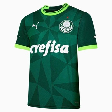 Camiseta Palmeiras Torcedor 23 Puma - Masculina