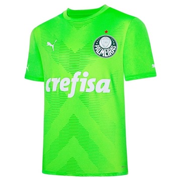 Camiseta do Palmeiras Puma Torcedor - Masculina