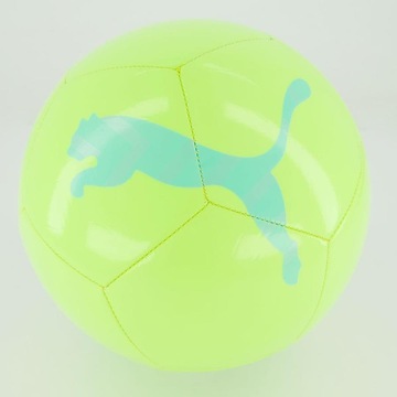 Bola de Futebol de Campo Puma Icon