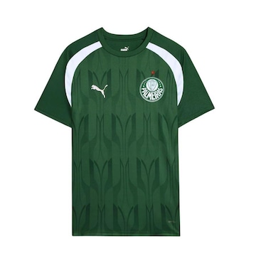 Camisa do Palmeiras 2024 Pré-Jogo Puma - Masculina