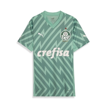 Camisa de Goleiro 2 do Palmeiras Away Torcedor 24/25 Puma - Masculina