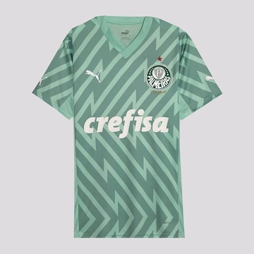 Camisa de Goleiro Puma Palmeiras Goleiro II 2024 - Masculina