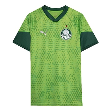 Camisa do Palmeiras 2024 Puma - Masculina