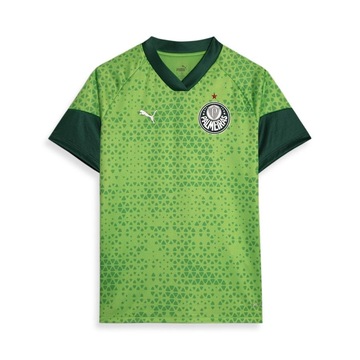 Camisa do Palmeiras 2024 Treino e Viagem - Masculina