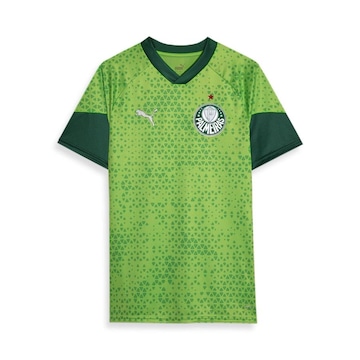 Camisa do Palmeiras 2024 Treino e Viagem - Masculina