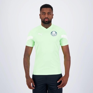 Camisa do Palmeiras Treino 2023 Puma - Masculina