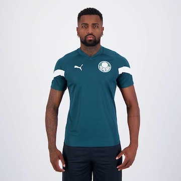 Camisa do Palmeiras Treino 2023 Puma - Masculina