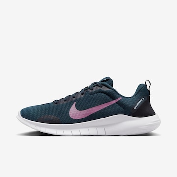 Tênis Nike Flex Experience 12 - Feminino