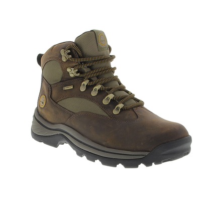 Bota Timberland Chochorua GTX - Feminina - Foto 2
