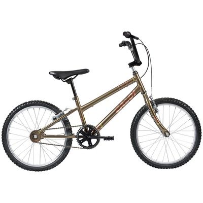 Bicicleta Caloi Expert - Aro 20 - Freios V-Brake - Infantil - Foto 1